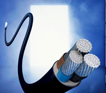 Clean Energy options OCean County